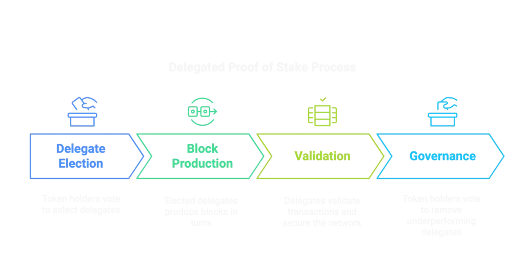 Delegated Proof of Stake Process