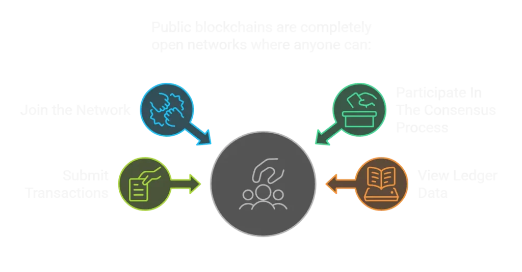 Public Blockchains