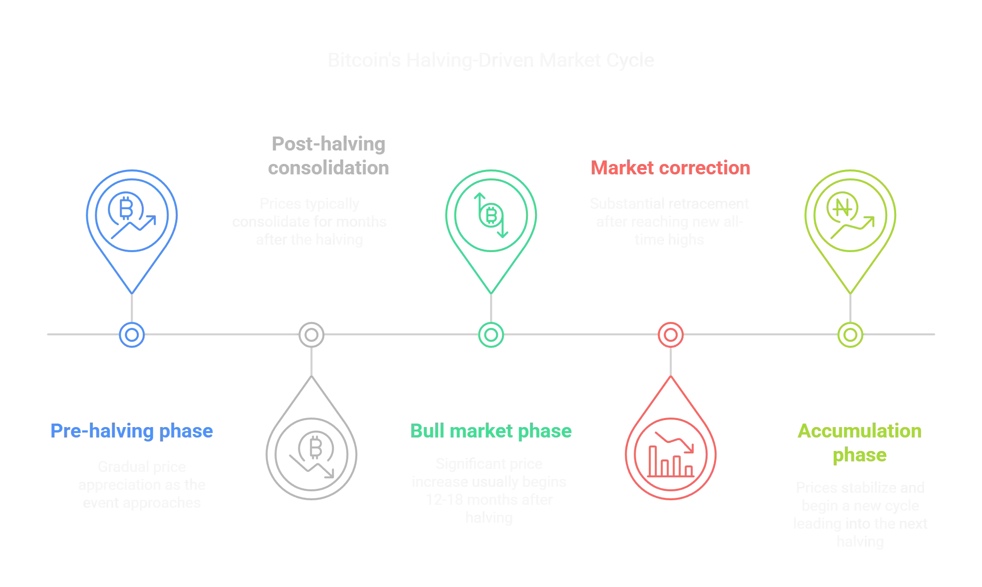 Bitcoin's Halving-Driven Market Cycle